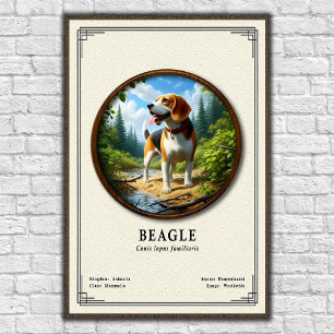 Poster Série de zoologie du Beagle