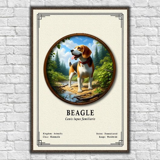Poster Série de zoologie du Beagle