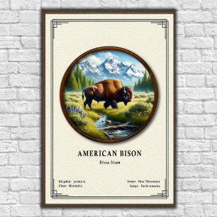 Poster Série de zoologie du bison d'Amérique