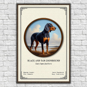 Poster Série de zoologie du Black and Tan Coonhound