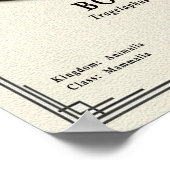 Poster Série de zoologie du Bongo (Coin)