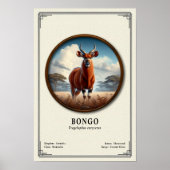 Poster Série de zoologie du Bongo (Devant)