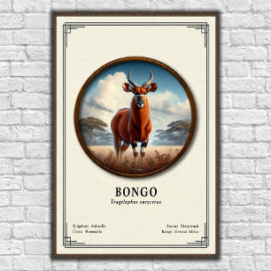 Poster Série de zoologie du Bongo