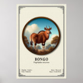 Poster Série de zoologie du Bongo (Devant)
