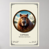 Poster Série de zoologie du capybara (Devant)