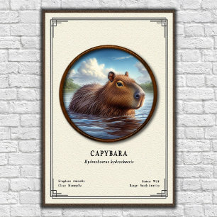 Poster Série de zoologie du capybara