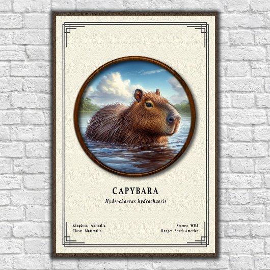 Poster Série de zoologie du capybara