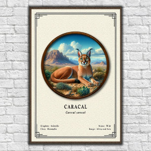 Poster Série de zoologie du Caracal