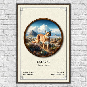 Poster Série de zoologie du Caracal