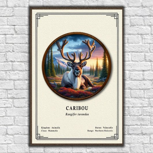 Poster Série de zoologie du caribou