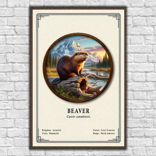 Poster Série de zoologie du castor
