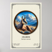Poster Série de zoologie du chamois (Devant)