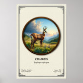 Poster Série de zoologie du chamois (Devant)