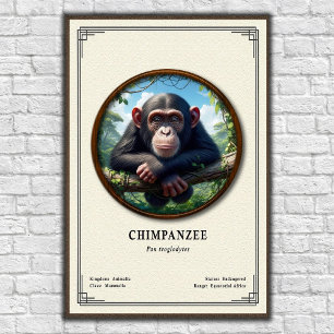 Poster Série de zoologie du chimpanzé