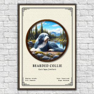 Poster Série de zoologie du Colley barbu