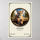 Poster Série de zoologie du couguar (Devant)