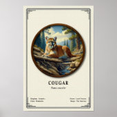 Poster Série de zoologie du couguar (Devant)