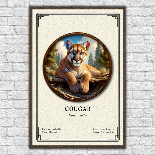Poster Série de zoologie du couguar