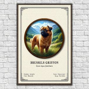 Poster Série de zoologie du Griffon de Bruxelles