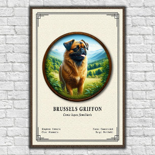 Poster Série de zoologie du Griffon de Bruxelles