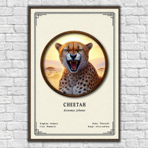 Poster Série de zoologie du guépard