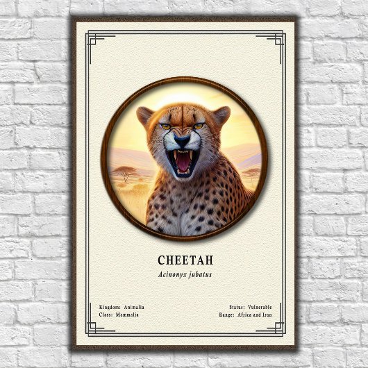 Poster Série de zoologie du guépard
