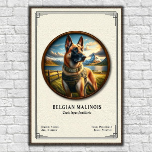 Poster Série de zoologie du Malinois belge