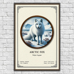 Poster Série de zoologie du renard arctique