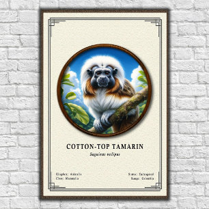 Poster Série de zoologie du Tamarin à tête blanche