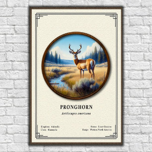 Poster Série de zoologie Pronghorn (Antilope d'Amérique)