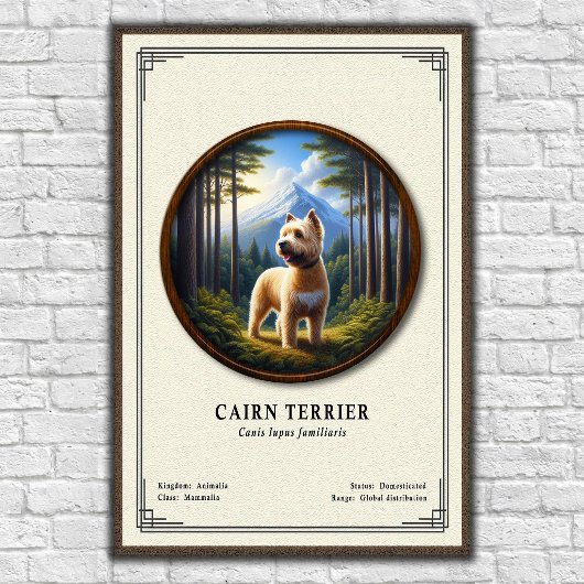 Poster Série de zoologie sur le Cairn Terrier