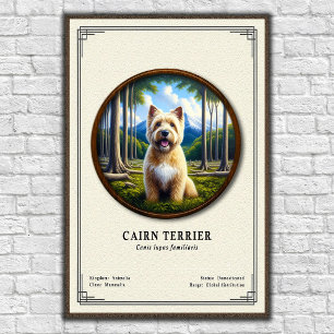 Poster Série de zoologie sur le Cairn Terrier