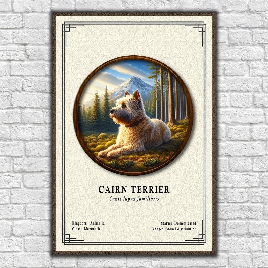 Poster Série de zoologie sur le Cairn Terrier