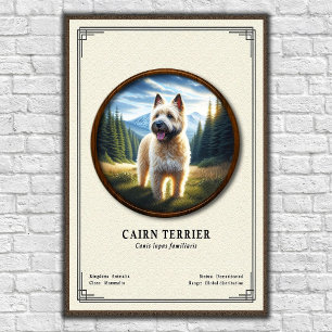 Poster Série de zoologie sur le Cairn Terrier