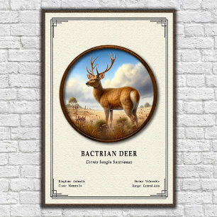 Poster Série de zoologie sur le cerf bactrien
