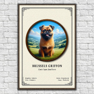 Poster Série de zoologie sur le Griffon de Bruxelles