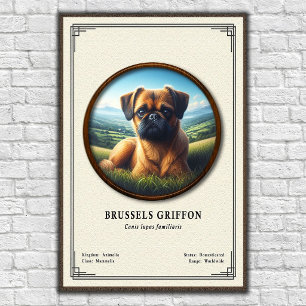 Poster Série de zoologie sur le Griffon de Bruxelles