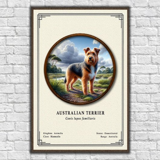 Poster Série de zoologie sur le terrier australien