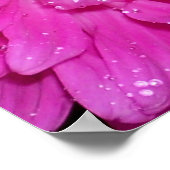 Poster Série florale : Asteraceae (Coin)