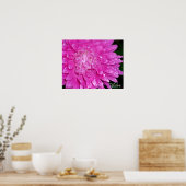 Poster Série florale : Asteraceae (Cuisine)