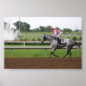 Poster Série LSP (2) (Devant)