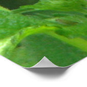 Poster Série papillon (Coin)