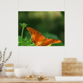 Poster Série papillon (Cuisine)