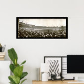 Poster Série Tigers Cubs Photo 1907 (Bureau à domicile)