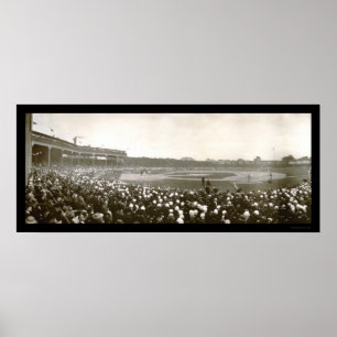 Poster Série Tigers Cubs Photo 1907