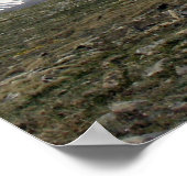 Poster Série Tundra Alpine (Coin)