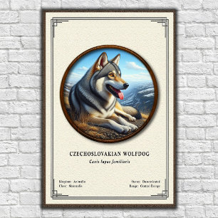 Poster Séries de zoologie du chien-loup tchécoslovaque