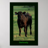 Poster sérieux (Devant)