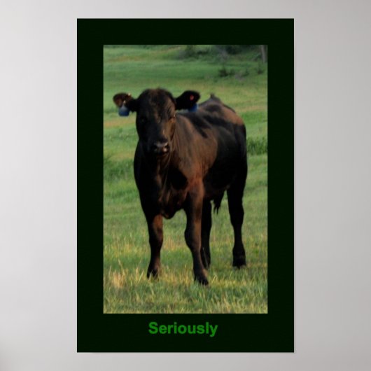 Poster sérieux (Devant)