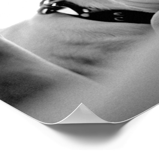 Poster Sérieux Oeil Côté. (Coin)